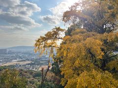 -灵岩山风景区