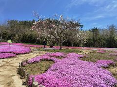-棒棰岛宾馆景区