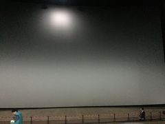 -天幕新彩云国际影城(激光巨幕店)