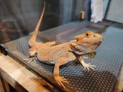 -酷嗒动物文化乐园(cutezoo西溪乐天城店)