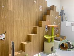 -COLOR PETS 撸猫馆·购猫·猫咖(长风大悦城店)
