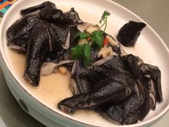 药膳鸡-沙龙酒家