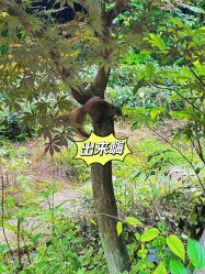 -尚圣月子会所·庄园式月子中心(萧山湘湖店)
