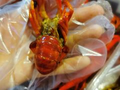 -文和友老长沙龙虾馆(化龙池店)