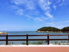 -沈家门渔港