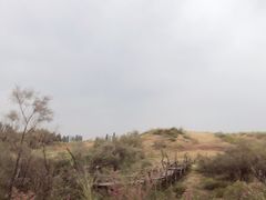-黄沙古渡原生态旅游区