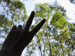 -火炉山森林公园