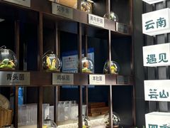 -芸山季·云南山珍菌火锅(人民广场来福士店)