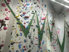 -绿壁虎攀岩基地(Tcar店)