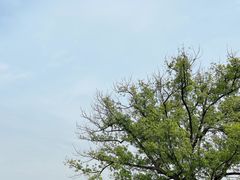 -良渚古城遗址公园