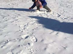 -蓟县盘山滑雪场