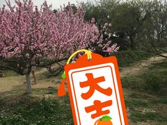 -秀丽东方