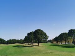 -旭宝高尔夫俱乐部