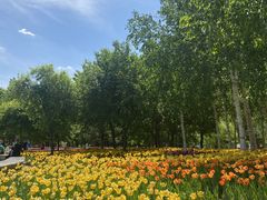 -长春公园(普阳街道)