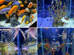 -海合安天津极地海洋公园