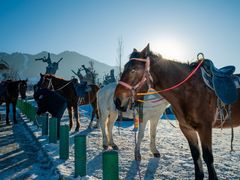 -丝绸之路山地度假区滑雪场