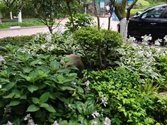 -燕儿岛山公园