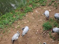 -无锡动物园·太湖欢乐园