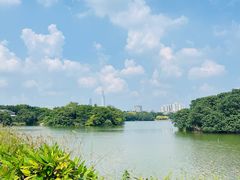 -海珠湖公园