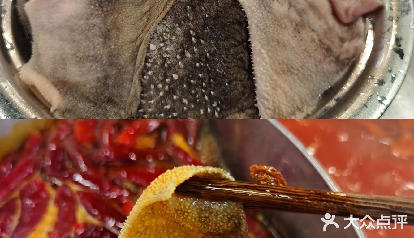 魔都最巴适的重庆火锅