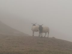 -冶力关旅游区