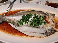 -醉辉皇上海之巅(上海中心大厦店)
