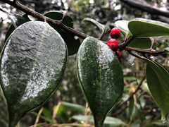-桂林资江天门山风景区