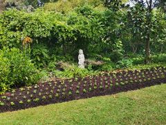 -EG Waterhouse Camellia Gardens Sutherland Shire