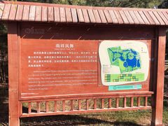 -大兴滨河森林公园