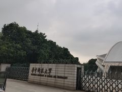 -华中科技大学光谷体育馆