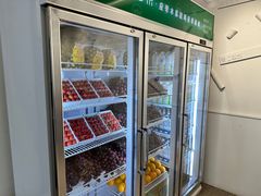 -雾与山茶(大禹城店)