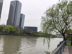 -运河游船(武林门码头)