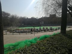 -莲湖公园
