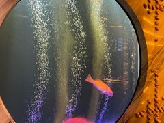-莉莉海堂HAITANG·烤鸭(国贸商城店)