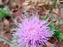 -北京宽沟会议中心