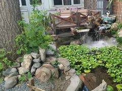 -陶野咖啡·面包披萨