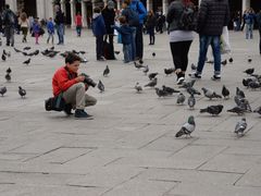 -圣马尔谷圣殿宗主教座堂