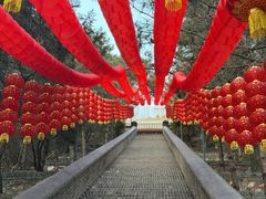 -红螺寺