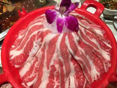精品肥牛-红鼎坊·老成都火锅(新南门店)