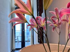 -瓦库茶馆17号(海汇港店)