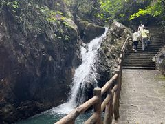 -广州市流溪河国家森林公园