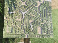 -亲兄弟真人CS团建拓展基地