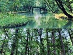 -同里国家湿地公园