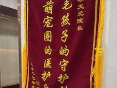 -宠爱国际动物医院·消化内科·心肾内科·ISFM猫友好(望京店)