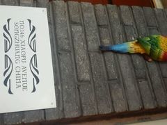 android_upload_pic-苹果树下艺术餐厅(宋庄店)