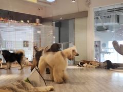 -赢吧Bliss音乐酒吧