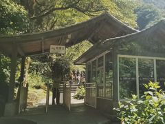 -西岭雪山大飞水景区