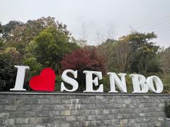 -杭州开元森泊度假乐园