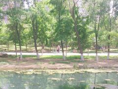 -长白岛森林公园