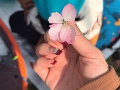 -崎本的店·专业酵种吐司(无锡万象汇店)